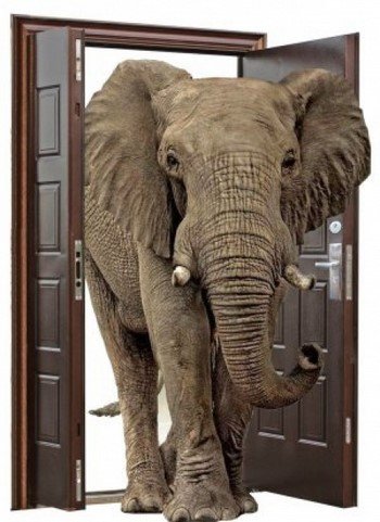 Пластикові, металеві та інші двері нестандартних розмірів