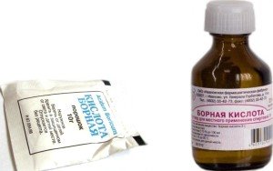 Як позбутися від тарганів народними засобами в будинку: опис, застосування, відео, відгуки