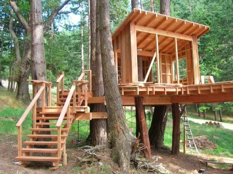 Правила самостійного будівництва будиночка на дереві