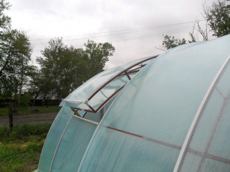 Самостійної будівництво теплиці з дерева