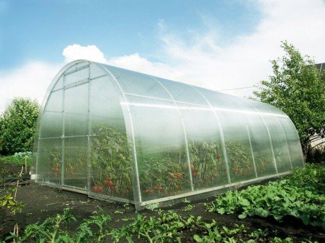 Як самостійно зробити на дачі парник?