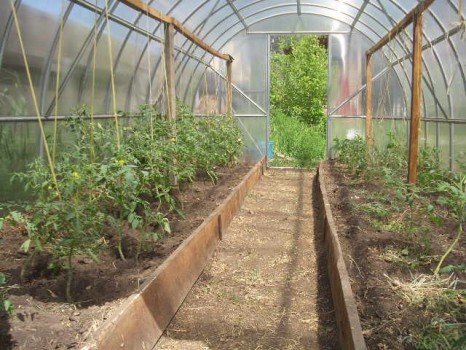 Створення теплиці з полікарбонату своїми руками з нуля Створення теплиці з полікарбонату своїми руками з нуля