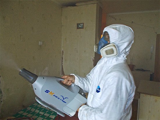 Обробка приміщень від комах: ціни, відгуки та особливості процедури