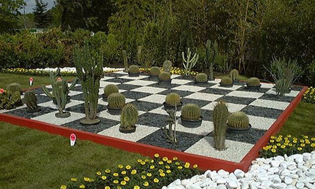 Дизайн приватного двору і саду: фото