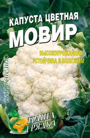 Вирощування цвітної капусти у себе на дачі з насіння
