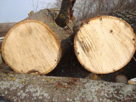 Які інструменти потрібні для різьби по дереву? Які інструменти потрібні для різьби по дереву?