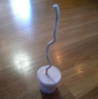 Топіарі кавове дерево своїми руками Топіарі кавове дерево своїми руками