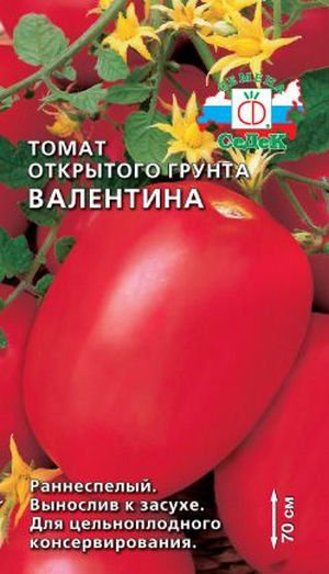 Кращі низькорослі, штамбові, детермінантні та врожайні сорти томатів для відкритого грунту