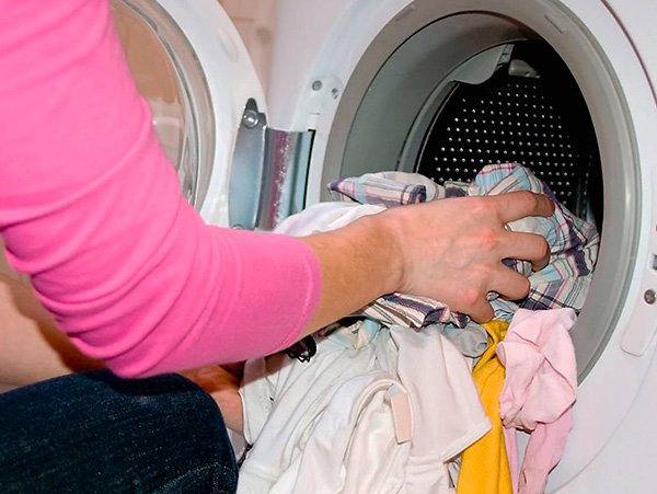 Зондер від клопів і відгуки про застосування цього засобу (а також де його можна купити) Зондер від клопів і відгуки про застосування цього засобу (а також де його можна купити)