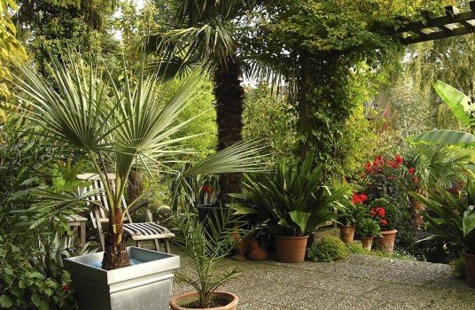 Робимо прекрасний сад своїми руками