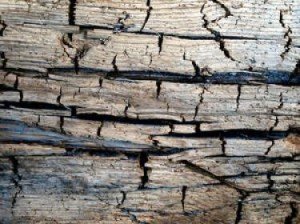 Захист дерева: види захисних покриттів. Особливості просочень, фарб і лаків