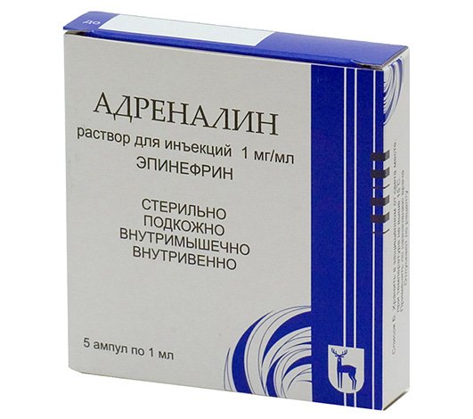 Алергія на укуси комах (фото) і що робити при гострій реакції організму