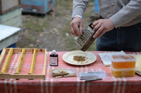 Як приготувати і приймати настойку прополісу