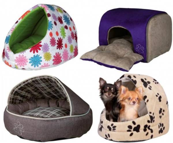 Місце для собаки в квартирі: як облаштувати і привчити до нього вихованця