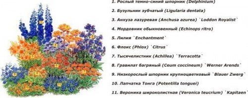 Як зробити міксбордер своїми руками.