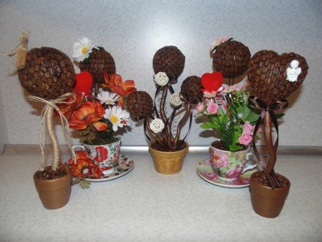 Топіарі кавове дерево своїми руками Топіарі кавове дерево своїми руками