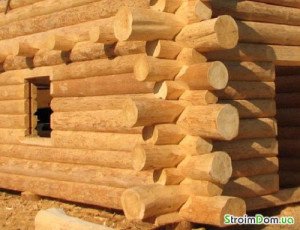 Технологія деревяних будинків: особливості монтажу. Каркасна споруда