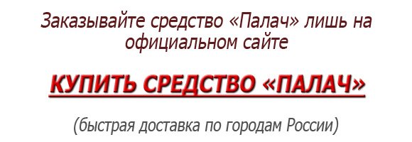 Засіб від клопів Кат: інструкція по застосуванню і де його купити