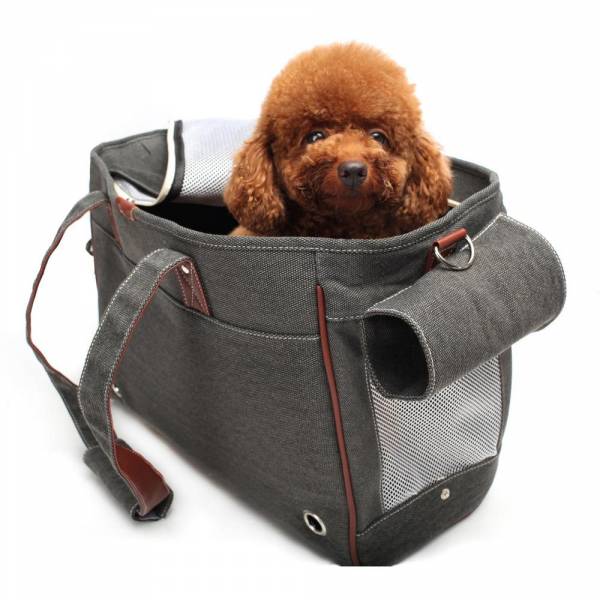 Сумка переноска для собак: огляд різновидів