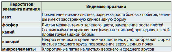 Підживлення огірків в теплиці з полікарбонату – яке добриво краще для розсади?