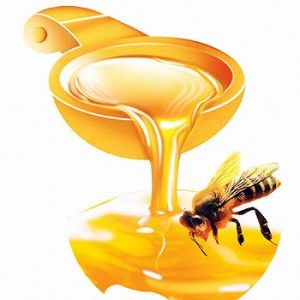 Як розтопити мед: всі способи применям в домашніх умовах