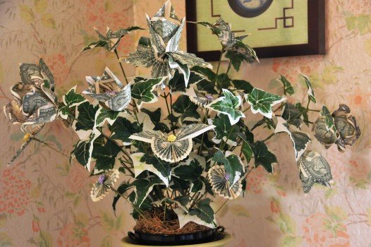 Способи створення грошових дерев своїми руками Способи створення грошових дерев своїми руками