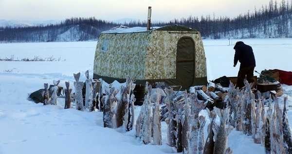 Мобільні лазні: переносні (туристичні) і на колесах (у причепах), фото, ціни