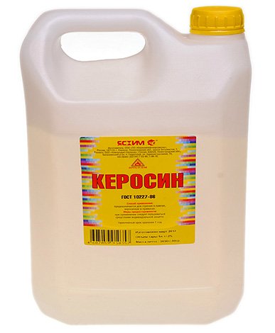 Кошти від ос і шершнів: як і чим можна ефективно вбити цих комах