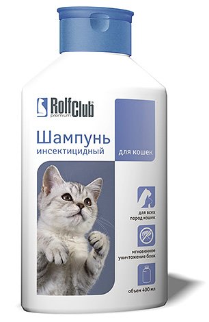Як вивести бліх у кота