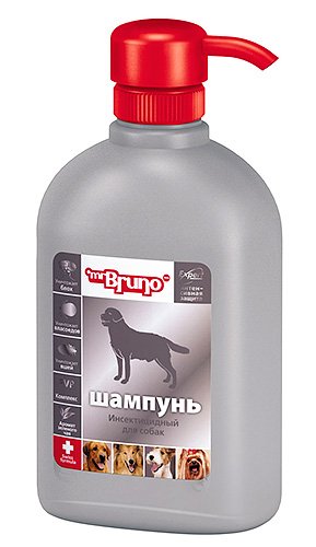Як вивести бліх у собаки і позбутися від них назавжди