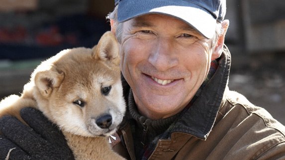 Три найвідоміші породи собак за версією сайту Ваші вихованці