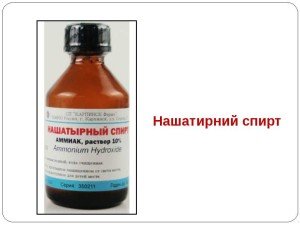 Народні засоби від постільних клопів у квартирі: як застосовувати, методи знищення: відгуки