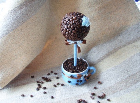 Топіарі кавове дерево своїми руками Топіарі кавове дерево своїми руками