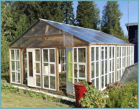 Теплиця з рам своїми руками: поради і тонкощі Теплиця з рам своїми руками: поради і тонкощі