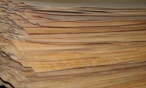 Шпон це матеріал (горіх, дуб, венге, палісандр) для створення дверних конструкцій Шпон це матеріал (горіх, дуб, венге, палісандр) для створення дверних конструкцій