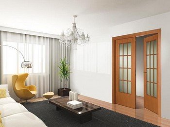 Маятникові двері: міжкімнатні, для ресторанів