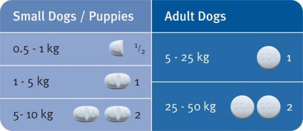 Мильбемакс для собак   огляд препарату