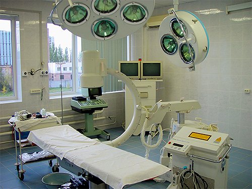 Перша допомога при укусах комах: що робити насамперед