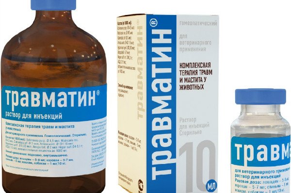 Травматин для собак   все що потрібно знати про препарат