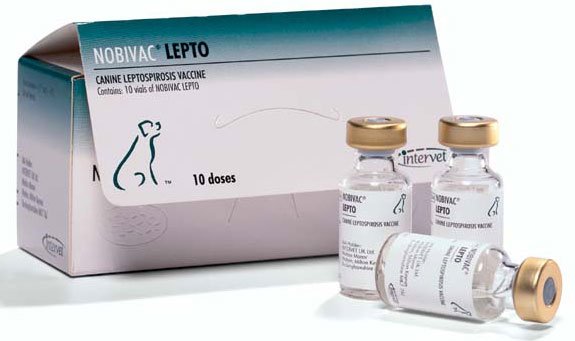 Нобівак для собак   огляд групи вакцин