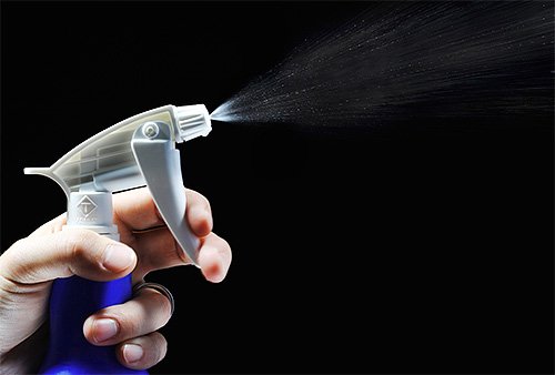 Засоби від бліх для кішок і кошенят: огляд найбільш ефективних препаратів