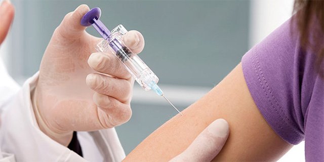 Щеплення від кліщового енцефаліту: схема вакцинації. Коли і де ставити щеплення від кліща?