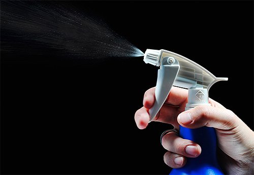 Щурячі блохи: чи можуть вони потрапити в квартиру і як з нмии боротися Щурячі блохи: чи можуть вони потрапити в квартиру і як з нмии боротися