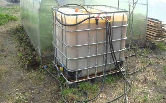 Полив у теплиці своїми руками: пристрій і рішення