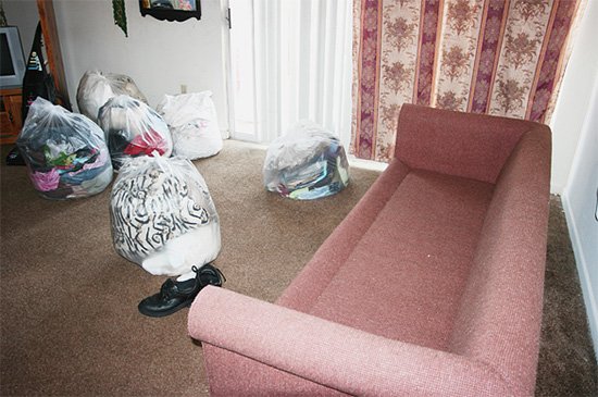 Знищення бліх в квартирі та будинку: способи і правила ефективної боротьби