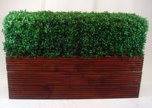 Що таке топіарі або як самостійно зробити декоративні дерева? Що таке топіарі або як самостійно зробити декоративні дерева?