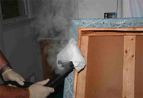 Клопи у квартирі: як знайти місця проживання і що робити для їх знищення?