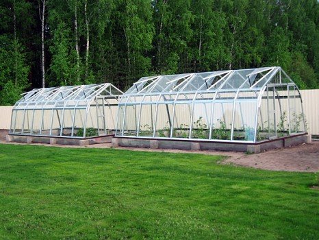 Створення теплиці з полікарбонату своїми руками з нуля Створення теплиці з полікарбонату своїми руками з нуля