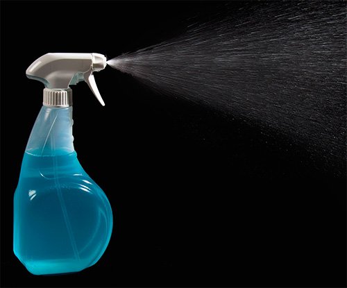 Статеві блохи і як від них позбавитися Статеві блохи і як від них позбавитися