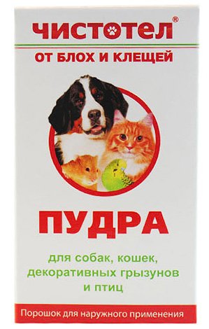Домашні блохи і як від них позбавитися